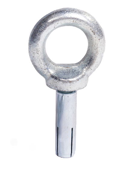 Ringschraube + Einschlagdübel | M16